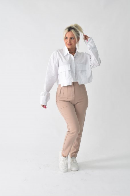 Taupe pleated pants